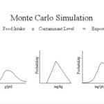 Monte carlo simulation